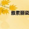 雅素丽瓷砖官方旗舰店 雅素丽瓷砖