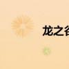 龙之谷双开软件 龙之谷双开