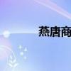 燕唐商城 关于燕唐商城的介绍