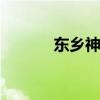 东乡神蛋 关于东乡神蛋的介绍
