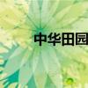 中华田园猫多少钱一只 中华田园猫