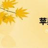 苹果a1864是国行吗？