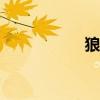 狼人符文s9 狼人符文
