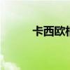 卡西欧相机维修 卡西欧相机售后