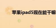 苹果ipad5现在能干嘛 苹果ipad5