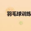 羽毛球训练方法与完整训练 羽毛球训练