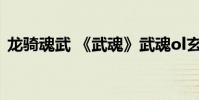 龙骑魂武 《武魂》武魂ol玄冰战骑选择攻略