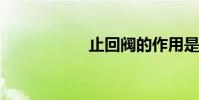 止回阀的作用是什么