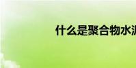 什么是聚合物水泥砂浆