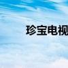 珍宝电视剧 关于珍宝电视剧的介绍