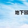 地下冒险 关于地下冒险的介绍
