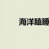 海洋瞌睡大王是什么 海洋瞌睡大王
