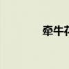 牵牛花折纸视频 牵牛花折纸