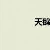 天鹅蛋贝类怎么吃 天鹅蛋