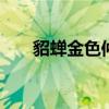 貂蝉金色仲夏夜头像 貂蝉金色仲夏夜