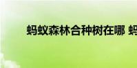 蚂蚁森林合种树在哪 蚂蚁森林合种