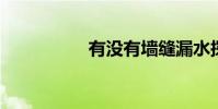 有没有墙缝漏水探测器