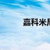 嘉科米尼属于什么档次 嘉科米尼