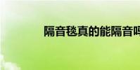 隔音毯真的能隔音吗 隔音毯