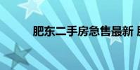 肥东二手房急售最新 肥东二手房