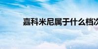 嘉科米尼属于什么档次 嘉科米尼
