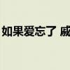 如果爱忘了 戚薇 关于如果爱忘了 戚薇的介绍