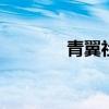 青翼社工官方网站 青翼社工