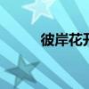 彼岸花开的解释 彼岸花开的意思