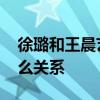 徐璐和王晨艺是什么关系 徐璐和王晨艺是什么关系
