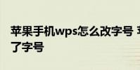 苹果手机wps怎么改字号 苹果手机WPS改不了字号