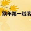 猴年第一贼落网 关于猴年第一贼落网的介绍