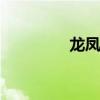 龙凤劫 关于龙凤劫的介绍