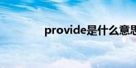 provide是什么意思 pro vl