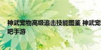 神武宠物高级追击技能图鉴 神武宠物高级追击技能介绍 快吧手游