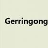 Gerringong：价格上涨了48％的海滨小镇