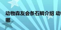 动物森友会条石鲷介绍 动物森友会条石鲷在哪