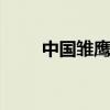 中国雏鹰网 关于中国雏鹰网的介绍