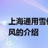 上海通用雪佛兰乐风 关于上海通用雪佛兰乐风的介绍