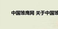 中国雏鹰网 关于中国雏鹰网的介绍