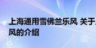 上海通用雪佛兰乐风 关于上海通用雪佛兰乐风的介绍