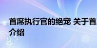 首席执行官的绝宠 关于首席执行官的绝宠的介绍