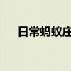 日常蚂蚁庄园答题：蚂蚁庄园运动锻炼