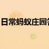 日常蚂蚁庄园答题：蚂蚁庄园先天下之忧而忧