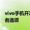 vivo手机开发者选项有什么用 vivo手机开发者选项