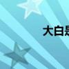 大白是什么材料 大白是什么
