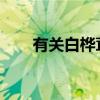 有关白桦茸及其健康益处的所有信息