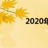 2020年特殊一年总结开头句子