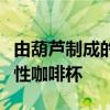 由葫芦制成的可生物降解杯子可能会终结一次性咖啡杯