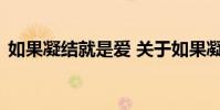如果凝结就是爱 关于如果凝结就是爱的介绍