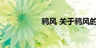 鸦风 关于鸦风的介绍
